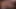 Onu kıllı Asya kedi fotoğraf çekimi sırasında becerdin