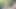 Boy Goes to the Forest and Masturbates on a Mountain