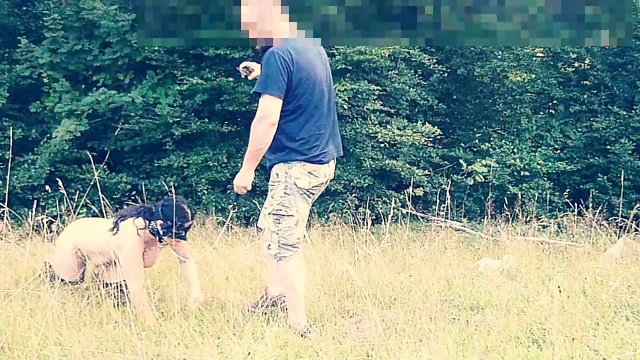 Kamu sürtük tasması üzerinde aşağılanmış – sıcak