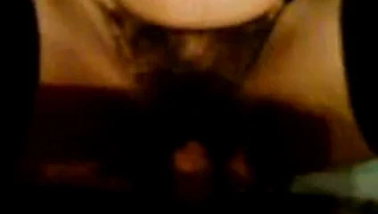 Virginia kıllı kedi