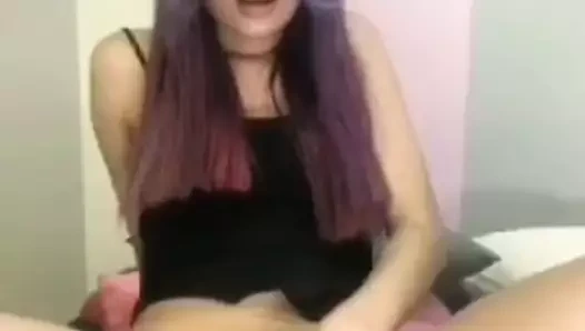 Latin sürtme kedi