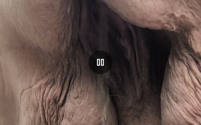 Шаловливая горничная в лесу крупным планом писает больше всего