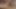 Travesti claudia sahip olan yalınayak eğlence ile ona horoz