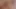 çok iyi asılı, güzel yüzlü femboy emme kadın - bölüm ii