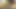 3 seksi sürtük acımasızca büyük bir yarağı boğazlarından yutuyor
