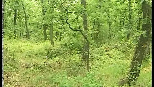 Esmer olgun açık havada sert sikiliyor