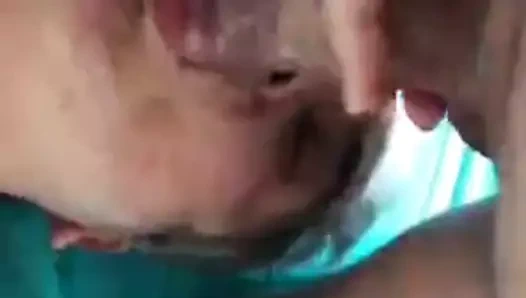 La truie nettoie et avale