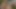 İki muhteşem kız havuz başında dildo paylaşıyor