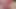 Pussie Sweets sahne 2_brunette bikinili genç layla büyük yarak ve şeker tarafından sikiliyor