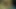Hint karısının horoza çok ihtiyacı var - jp spl