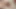Komşuyla oral seks ve penisten sperm akışları