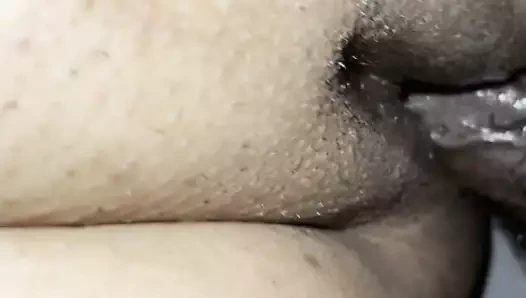 Kremsi kedi üzerinde bbc