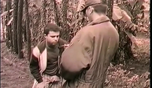 Olgun prezervatifsiz istekli olgun zenci prezervatifsiz orman ağacına karşı istekli twink