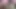 Olgun zenci hatun büyük zenci yarağıyla esnetiliyor ve dildo damlatıyor