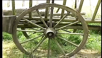 Fantastik eşekler ve memeler bolca