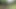 Olgun Kızlar Bahçede Birbirlerine Mastürbasyon Yapıyor Ve Birbirlerinin Vajinalarını Dildo Yapıyor