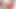 Seksi Taylandlı bayanın götünü sikmek için büyük dildo ve sert yarak