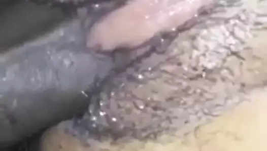 Hinfi ses - benim azgın karım çekim sulu kedi