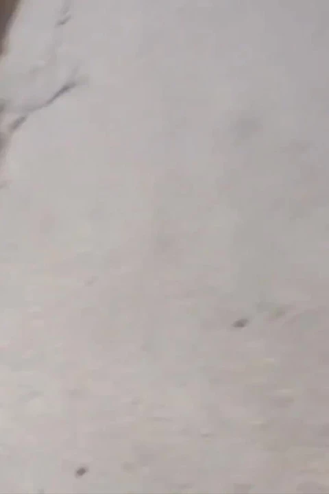 Pencerelerden geçti ve şanslı oldu