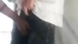 Koyun sıkan toplar – beeehhh