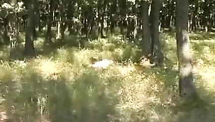 şişman olgun açık r20