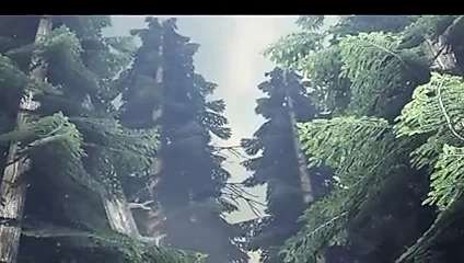 yardımcı bir hizmetçi