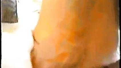 lanet bir olgun kıllı KEDİ