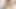 Büyük yuvarlak götlü seksi esmer bebek yabancı tarafından sikiliyor