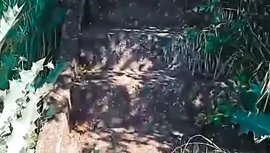 WillyAlexandruPetre videosu