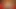 Roni fotoğrafları katıldı