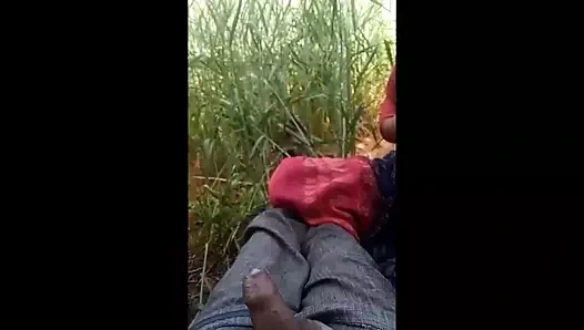 Desi village yenge emme ve kahrolası içinde jungle