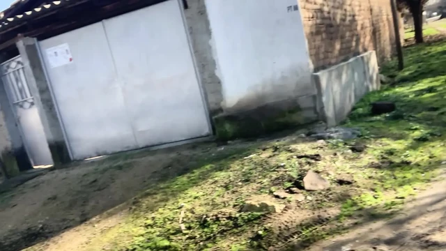 Güneşli günde çıplak yürüyor