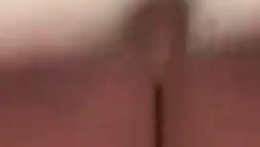 Havuzda onu kedi lanet