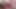 BORIS SCHWARZ: Two Older Studs Ravage Skinny Blonde 19 yo.