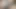 21x6 blank fick