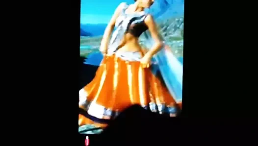 Kajal aggarwal sıcak horoz haraç