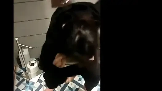 Klozet kapağına işeme derlemesi
