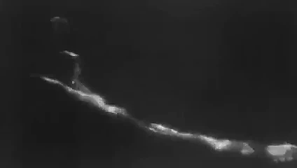 Tarzan ve arkadaşı (1934)