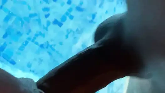 siyah horoz gir içinde ıslak KEDİ sualtı