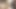 Real young Desi Couple Hardcore Homemade Sex Leak