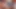 Büyük yuvarlak götlü Asyalı ladyboy genç paula o balon götünde ham anal sikişiyor