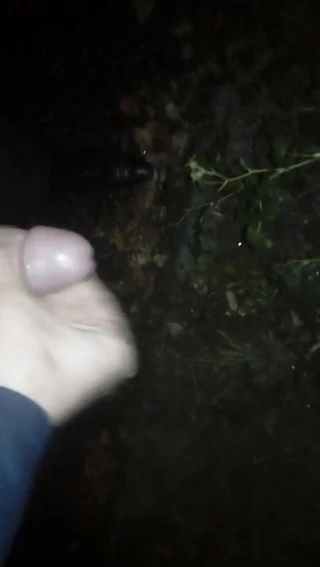 Bir park alanında kamu prematüre