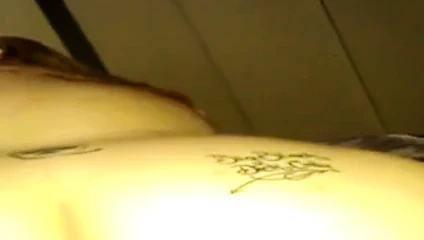 Dantelli kürek. utahs en sıcak kar tavşanı