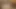 Zoey monroe oynuyor ile ona mükemmel kedi