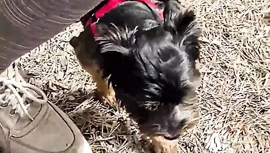 Söylenmemiş baştan çıkarma