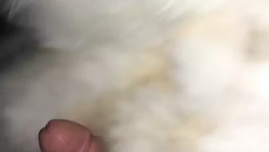 Tilki kürk manto üzerinde horoz sürtünme