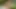 Reality kings - tanrıçalar luna luxe ve selina bentz kayıyor ve yağlı amcıklarını havuz kenarında kaydırıyor
