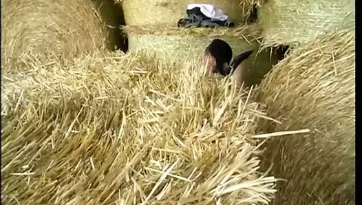 Kırsaldan vahşi nineler - bölüm 1