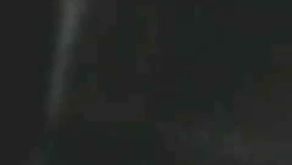 lanet benim kaltak köpek stili