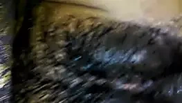 pürüzsüz kahrolası